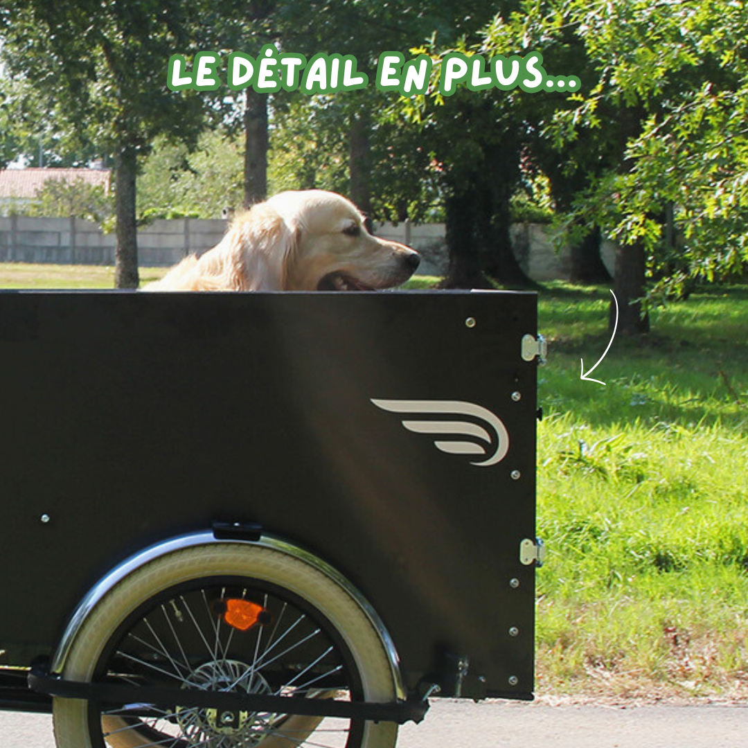 Triporteur Amsterdam Air - Super Chien